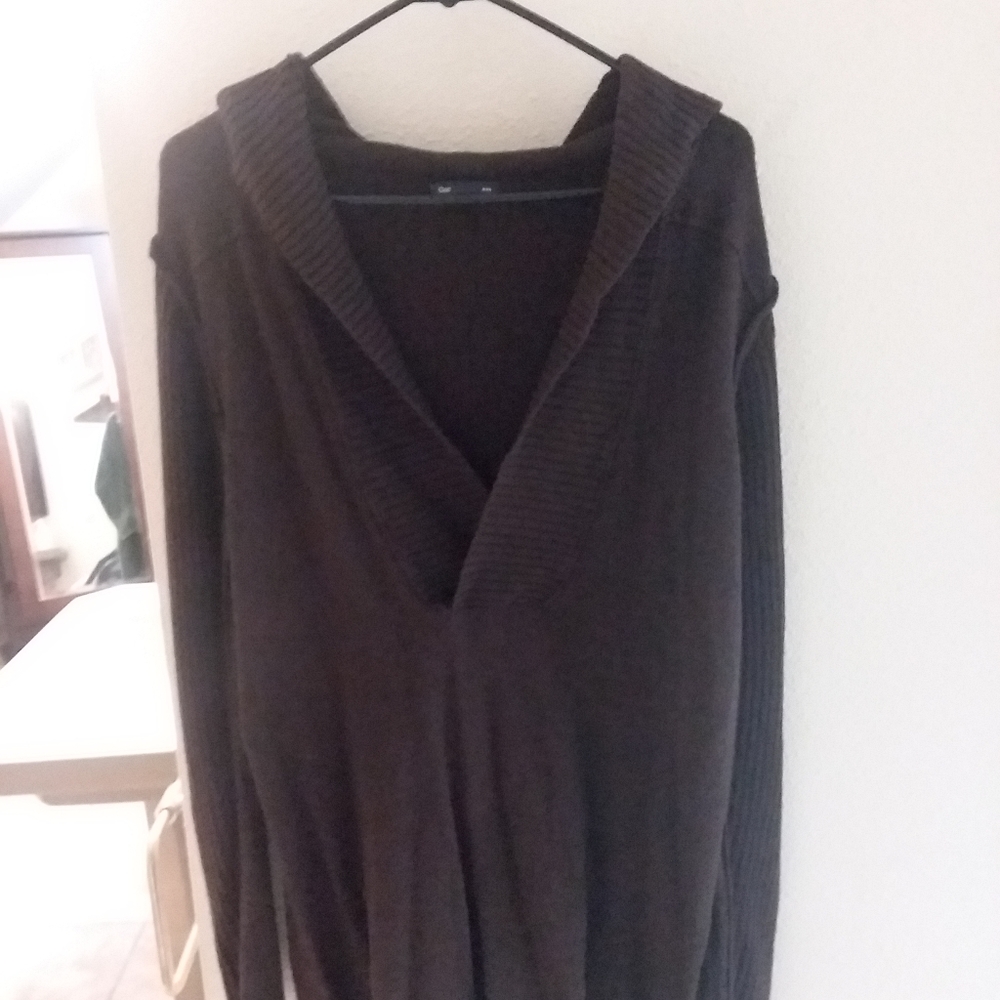 GAP Hooded Sweater